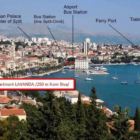 Lavanda Split