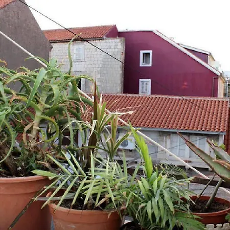 Lavanda * Spalato