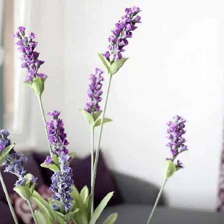 Апартаменти Lavanda *